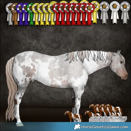 Horse Color:White Spotted Liver Chestnut 