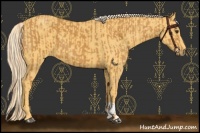 Horse Color:Palomino  and Palomino 