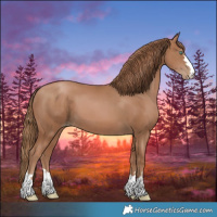 Horse Color:Black Pearl