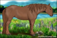Horse Color:Chestnut Sabino