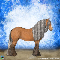 Horse Color:Bay and Silver Bay