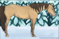 Horse Color:Amber Cream Champagne 