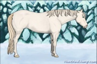 Horse Color:Perlino Roan 