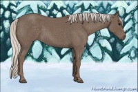 Horse Color:Silver Blue Roan 