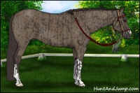 Horse Color:Smoky Black  and Smoky Grullo 