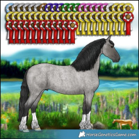 Horse Color:Grullo Roan