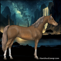 Horse Color:Chocolate Palomino and Chocolate Palomino