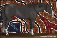 Horse Color:Smoky Black  and Smoky Black Splash 