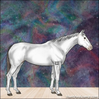 Horse Color:White Spotted Bay Frame Near Fewspot Rabicano  and White Spotted Bay Frame Near Leopard Rabicano 