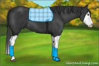 Horse Color:Black Splash Rabicano 