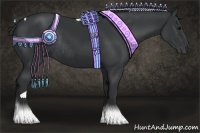 Horse Color:Black Tobiano Rabicano