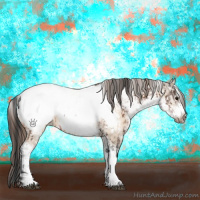 Horse Color:White Spotted Bay Frame Appaloosa Rabicano  and White Spotted Bay Dun Frame Appaloosa Rabicano 