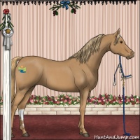 Horse Color:Red Roan 