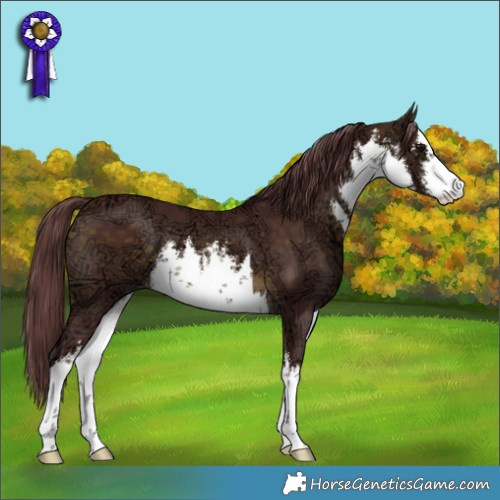Horse Color:White Spotted Chocolate Buckskin Ice 