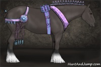 Horse Color:Smoky Black 