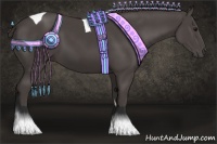 Horse Color:Smoky Black Tobiano 