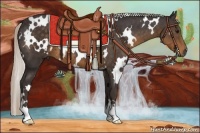 Horse Color:White Spotted Silver Smoky Black 