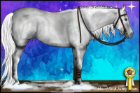 Horse Color:Gray Black Sabino