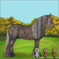 Horse Color:Black  and Silver Black 