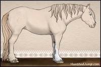 Horse Color:Perlino 