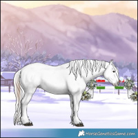 Horse Color:White Spotted Bay Frame Appaloosa Rabicano  and Gray White Spotted Bay Frame Appaloosa Rabicano 