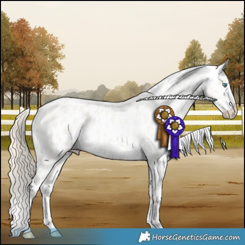 Horse Color:Smoky Creme Roan Dun Appaloosa 