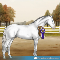 Horse Color:Smoky Creme Roan Dun Appaloosa 