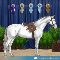 Horse Color:Amber Champagne Dun Appaloosa 
