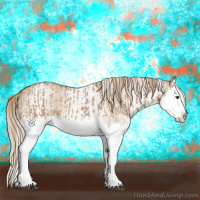 Horse Color:Red Dun Splash  and White Spotted Red Dun Splash 