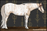 Horse Color:Chocolate Palomino Pearl Tobiano Frame and Chocolate Palomino Pearl Tobiano Frame Appaloosa
