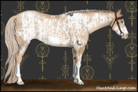 Horse Color:Chocolate Palomino Pearl Tobiano Frame and Chocolate Palomino Pearl Frame