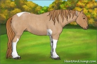 Horse Color:Red Roan Tobiano 