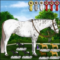 Horse Color:White Spotted Grullo Appaloosa Rabicano  and White Spotted Classic Champagne Dun Appaloosa Rabicano 