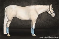 Horse Color:Gold Cream Champagne Pearl 