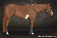 Horse Color:Chestnut Splash Tobiano 