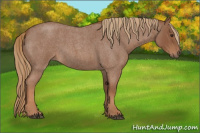 Horse Color:Red Roan 