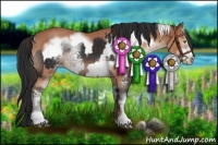 Horse Color:White Spotted Liver Chestnut Mushroom Sabino Rabicano  and Bay Mushroom Sabino Frame Rabicano