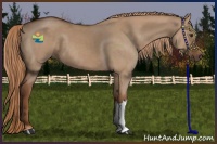 Horse Color:Red Dun 