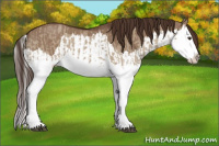 Horse Color:Liver Red Dun Splash  and Liver Red Dun Splash 