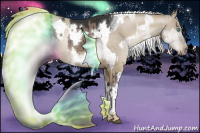 Horse Color:Chocolate Palomino Pearl Mushroom  and White Spotted Liver Red Dun Mushroom Brindle 