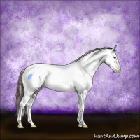 Horse Color:Grullo Tobiano Near Fewspot Rabicano  and Grullo Tobiano Near Fewspot Rabicano 