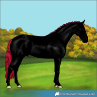 Horse Color:Void Painted White Spotted Blue Onyx Pearl Appaloosa Rabicano  and Void Painted Blue Onyx Pearl Tobiano Appaloosa Rabicano 