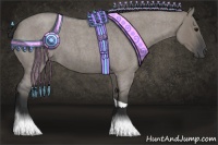 Horse Color:Grullo Roan Tobiano 