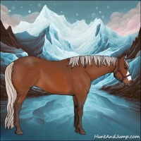 Horse Color:Silver Bay 