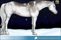 Horse Color:Platinum White Spotted Liver Red Onyx Mushroom Splash