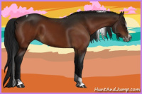 Horse Color:Gray Bay Splash Tobiano 