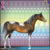 Horse Color:Buckskin Splash Tobiano 