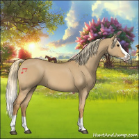 Horse Color:Red Dun Splash 