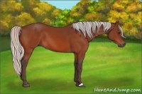 Horse Color:Silver Brown 