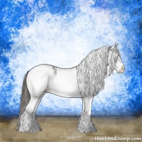 Horse Color:White Spotted Grullo Appaloosa Rabicano  and White Spotted Grullo Appaloosa Rabicano 